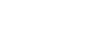 logoWhite